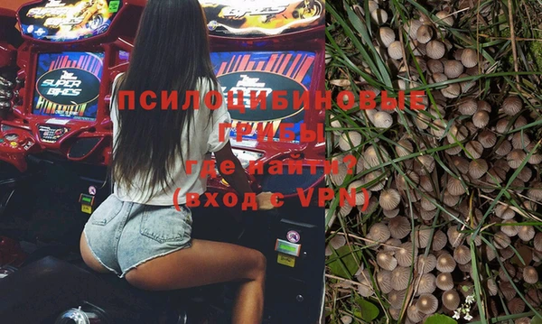 мдпв Армянск