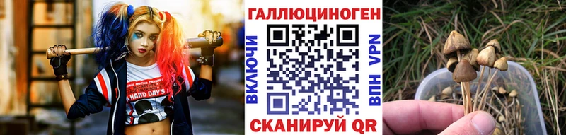 Псилоцибиновые грибы прущие грибы  цена   Аша 